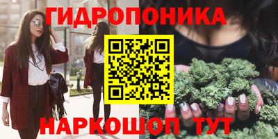 стаф Надым